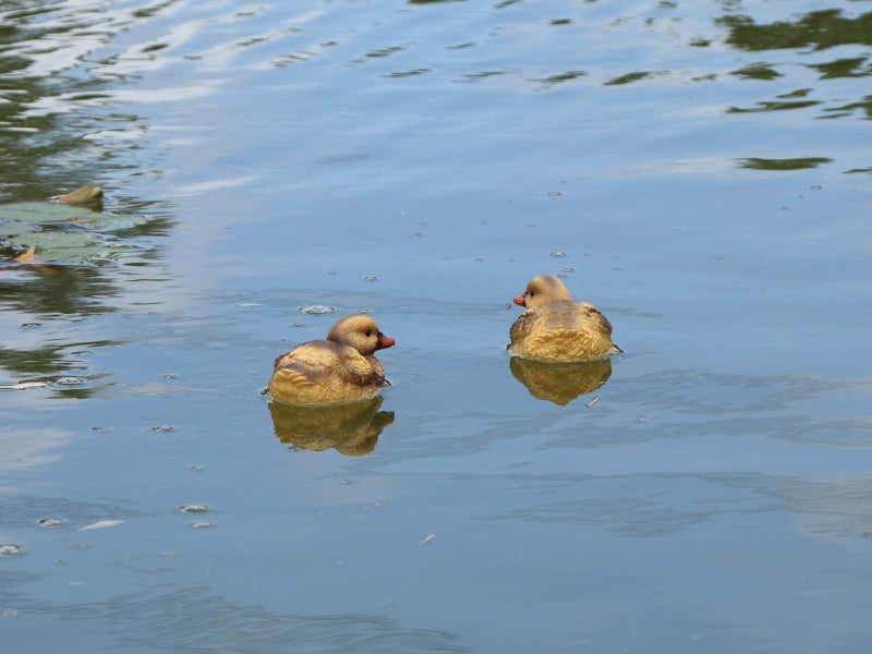 Rmdusk Floating Resin Duck Figurine Pond DÃ©cor Garden Lawn Patio Outdoor Statue Black Yellow (Set of 2) - Image 5